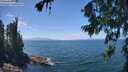 ./images/koeye/fitz-hugh/20260723/fitz-hugh20260723_135501M.jpg