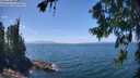 ./images/koeye/fitz-hugh/20260723/fitz-hugh20260723_140001M.jpg