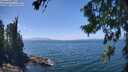 ./images/koeye/fitz-hugh/20260723/fitz-hugh20260723_140501M.jpg