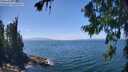 ./images/koeye/fitz-hugh/20260723/fitz-hugh20260723_141001M.jpg