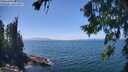 ./images/koeye/fitz-hugh/20260723/fitz-hugh20260723_141501M.jpg