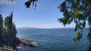 ./images/koeye/fitz-hugh/20260723/fitz-hugh20260723_142001M.jpg