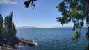 ./images/koeye/fitz-hugh/20260723/fitz-hugh20260723_142501M.jpg