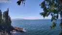 ./images/koeye/fitz-hugh/20260723/fitz-hugh20260723_143002M.jpg