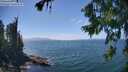./images/koeye/fitz-hugh/20260723/fitz-hugh20260723_144001M.jpg