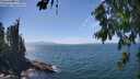 ./images/koeye/fitz-hugh/20260723/fitz-hugh20260723_144501M.jpg