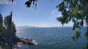 ./images/koeye/fitz-hugh/20260723/fitz-hugh20260723_145001M.jpg