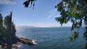 ./images/koeye/fitz-hugh/20260723/fitz-hugh20260723_145501M.jpg