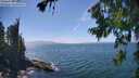 ./images/koeye/fitz-hugh/20260723/fitz-hugh20260723_150001M.jpg