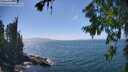 ./images/koeye/fitz-hugh/20260723/fitz-hugh20260723_151001M.jpg