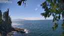 ./images/koeye/fitz-hugh/20260723/fitz-hugh20260723_151501M.jpg