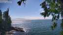 ./images/koeye/fitz-hugh/20260723/fitz-hugh20260723_154501M.jpg