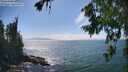./images/koeye/fitz-hugh/20260723/fitz-hugh20260723_155001M.jpg