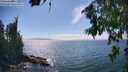 ./images/koeye/fitz-hugh/20260723/fitz-hugh20260723_155501M.jpg