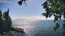 ./images/koeye/fitz-hugh/20260723/fitz-hugh20260723_162001M.jpg
