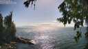 ./images/koeye/fitz-hugh/20260723/fitz-hugh20260723_165501M.jpg