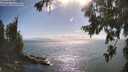 ./images/koeye/fitz-hugh/20260723/fitz-hugh20260723_171001M.jpg