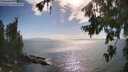 ./images/koeye/fitz-hugh/20260723/fitz-hugh20260723_172502M.jpg