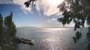 ./images/koeye/fitz-hugh/20260723/fitz-hugh20260723_173501M.jpg