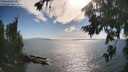 ./images/koeye/fitz-hugh/20260723/fitz-hugh20260723_174001M.jpg