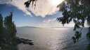 ./images/koeye/fitz-hugh/20260723/fitz-hugh20260723_174501M.jpg