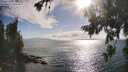 ./images/koeye/fitz-hugh/20260723/fitz-hugh20260723_180501M.jpg