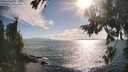 ./images/koeye/fitz-hugh/20260723/fitz-hugh20260723_181002M.jpg