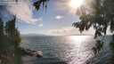./images/koeye/fitz-hugh/20260723/fitz-hugh20260723_181501M.jpg