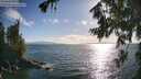 ./images/koeye/fitz-hugh/20260723/fitz-hugh20260723_183001M.jpg