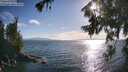 ./images/koeye/fitz-hugh/20260723/fitz-hugh20260723_183501M.jpg