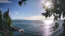 ./images/koeye/fitz-hugh/20260723/fitz-hugh20260723_184001M.jpg
