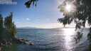 ./images/koeye/fitz-hugh/20260723/fitz-hugh20260723_185002M.jpg
