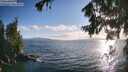 ./images/koeye/fitz-hugh/20260723/fitz-hugh20260723_193501M.jpg