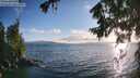 ./images/koeye/fitz-hugh/20260723/fitz-hugh20260723_194501M.jpg