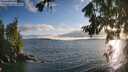 ./images/koeye/fitz-hugh/20260723/fitz-hugh20260723_200501M.jpg