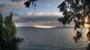./images/koeye/fitz-hugh/20260723/fitz-hugh20260723_204501M.jpg