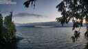 ./images/koeye/fitz-hugh/20260723/fitz-hugh20260723_212001M.jpg