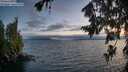 ./images/koeye/fitz-hugh/20260723/fitz-hugh20260723_214501M.jpg