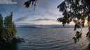 ./images/koeye/fitz-hugh/20260723/fitz-hugh20260723_215001M.jpg