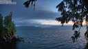 ./images/koeye/fitz-hugh/20260723/fitz-hugh20260723_220501M.jpg