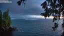 ./images/koeye/fitz-hugh/20260723/fitz-hugh20260723_221001M.jpg