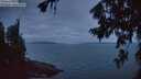 ./images/koeye/fitz-hugh/20260724/fitz-hugh20260724_051001M.jpg