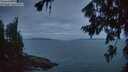 ./images/koeye/fitz-hugh/20260724/fitz-hugh20260724_051501M.jpg