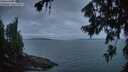 ./images/koeye/fitz-hugh/20260724/fitz-hugh20260724_052001M.jpg