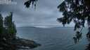 ./images/koeye/fitz-hugh/20260724/fitz-hugh20260724_053002M.jpg