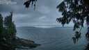 ./images/koeye/fitz-hugh/20260724/fitz-hugh20260724_053501M.jpg