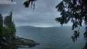 ./images/koeye/fitz-hugh/20260724/fitz-hugh20260724_054501M.jpg