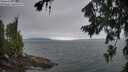 ./images/koeye/fitz-hugh/20260724/fitz-hugh20260724_060501M.jpg