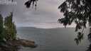 ./images/koeye/fitz-hugh/20260724/fitz-hugh20260724_065001M.jpg