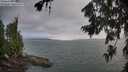 ./images/koeye/fitz-hugh/20260724/fitz-hugh20260724_065501M.jpg